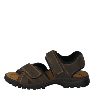 25051-27 Brown