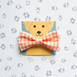 Creamsicle Gingham Bow Tie