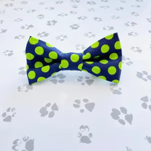 Fetch Bow Tie