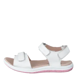 Helle White
