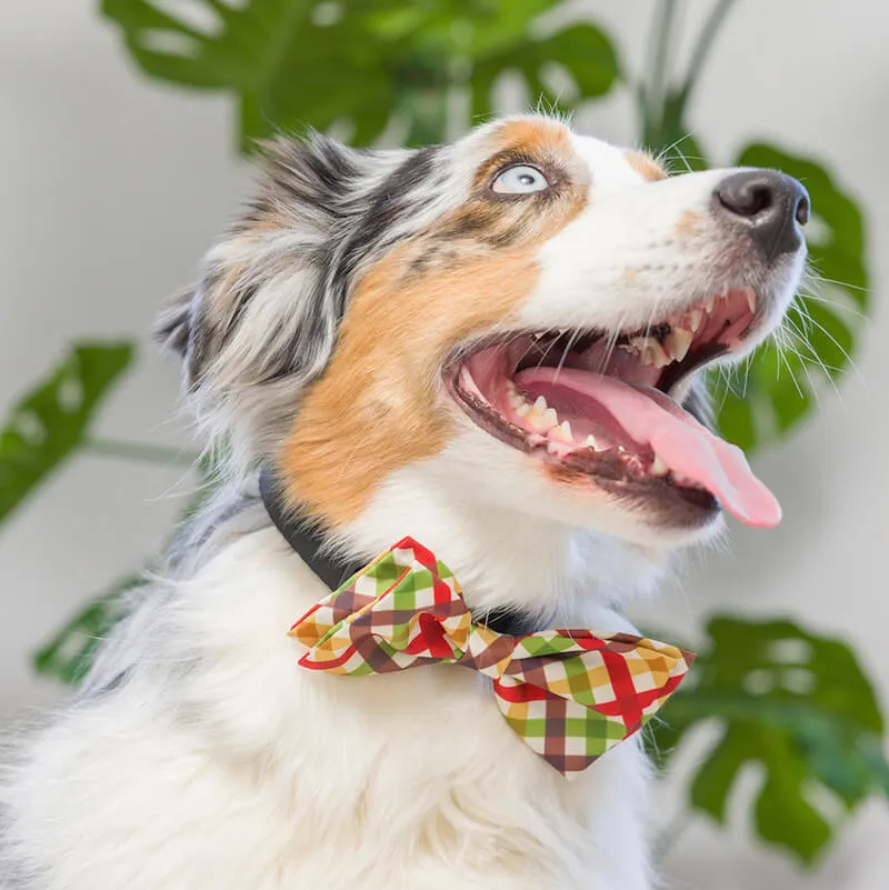 Huxley & Kent Harvest Check Bow Tie