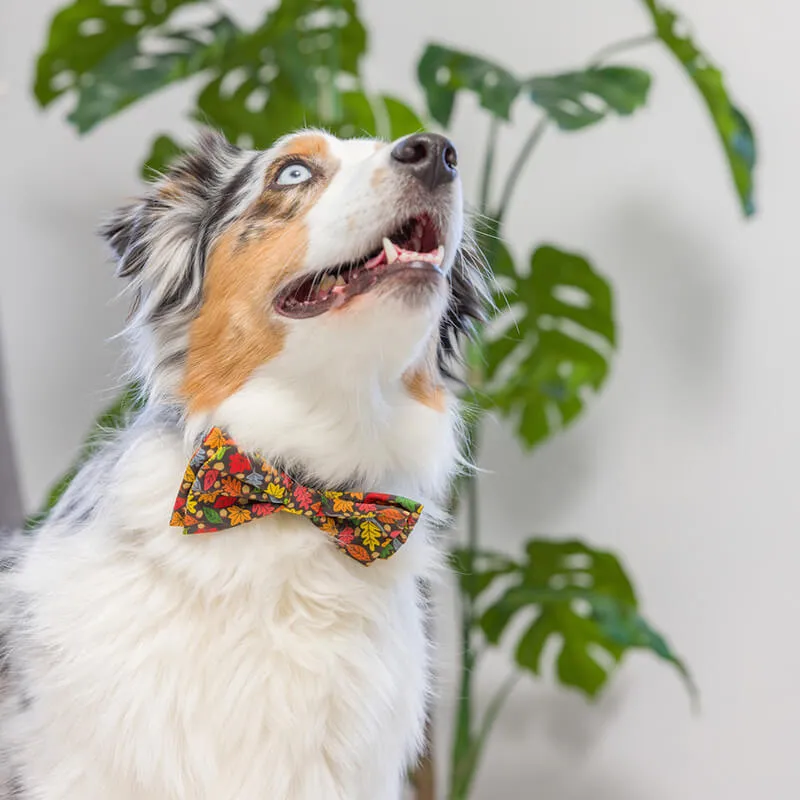 Huxley & Kent Leaves & Nuts Bow Tie