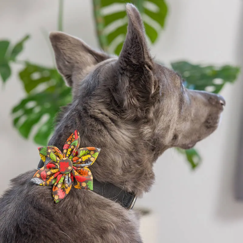 Huxley & Kent Leaves & Nuts Pinwheel