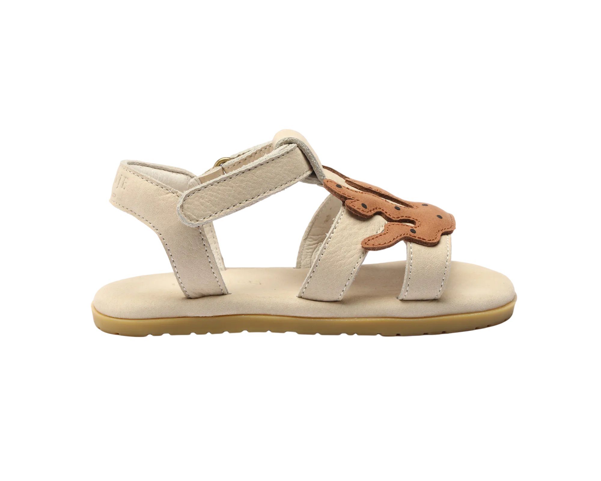 Lee Sea | Coral | Walnut Leather