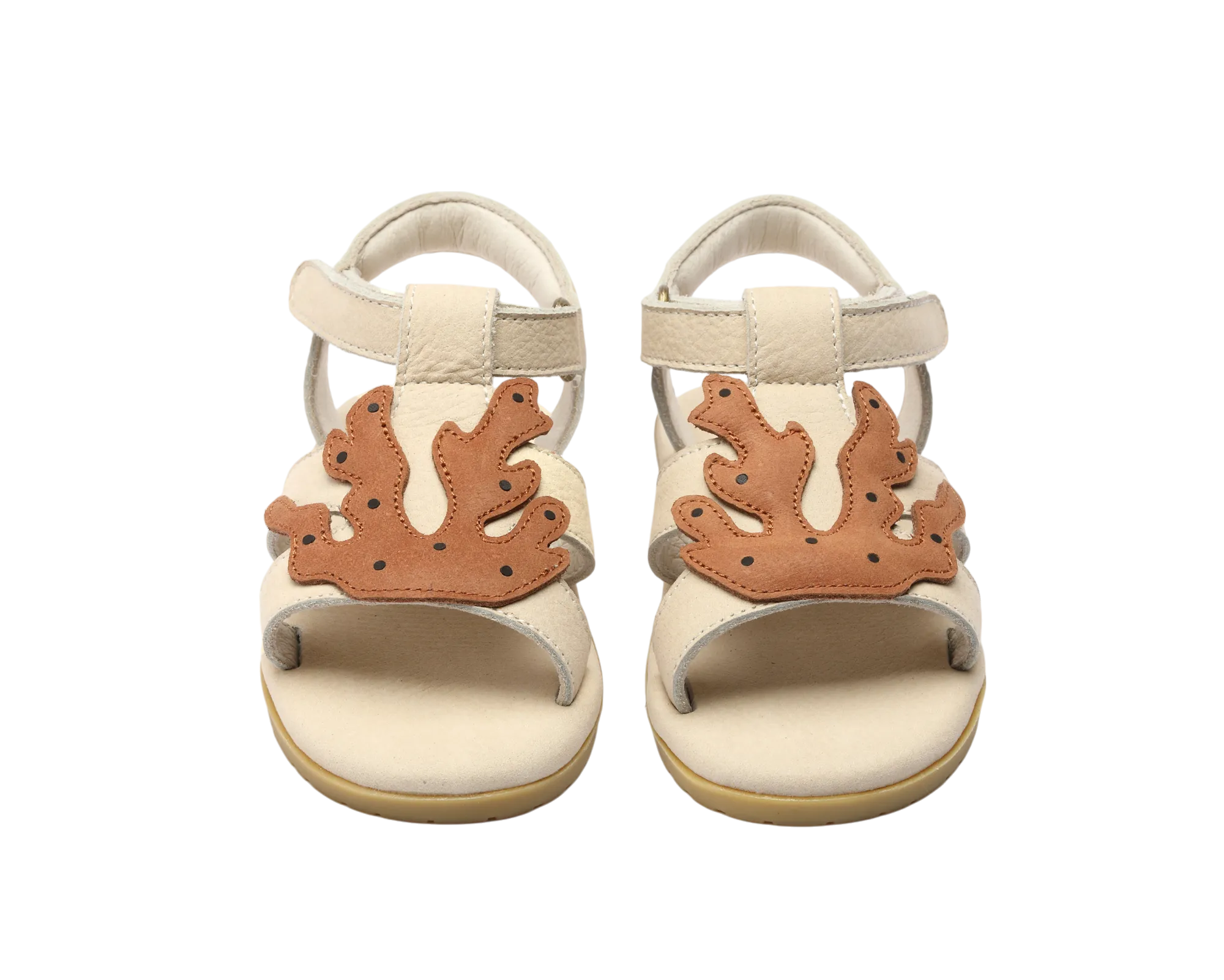 Lee Sea | Coral | Walnut Leather