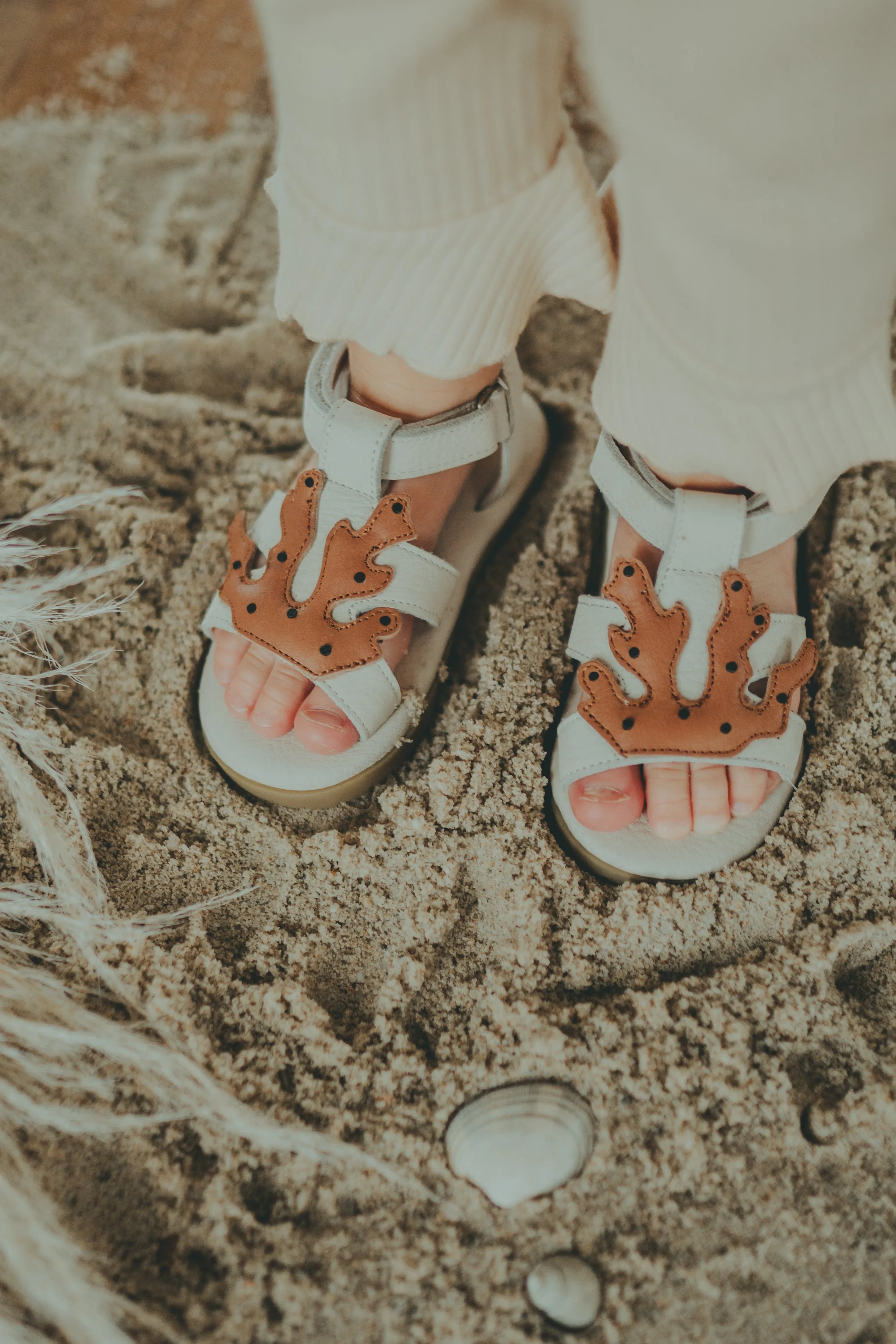 Lee Sea | Coral | Walnut Leather