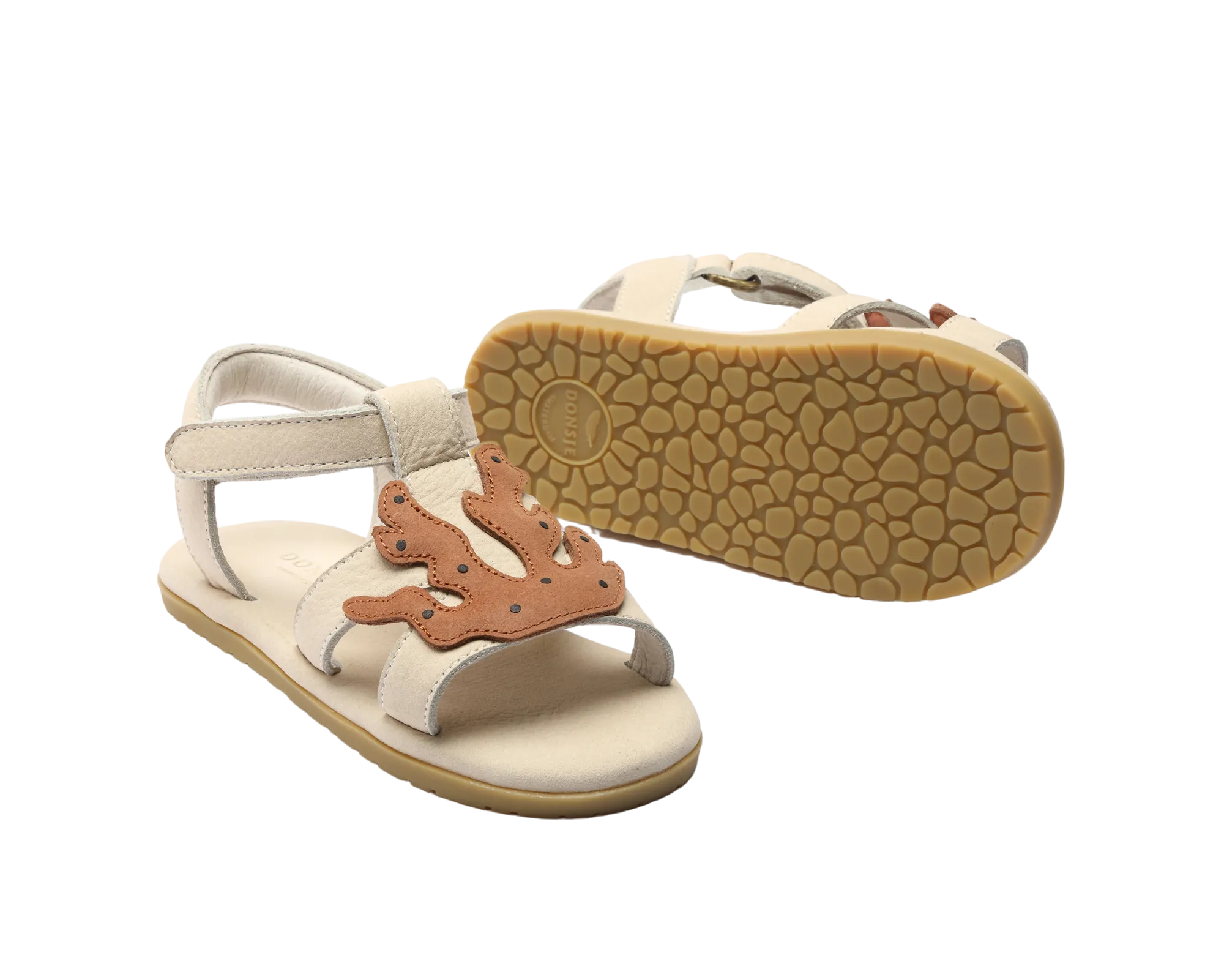 Lee Sea | Coral | Walnut Leather