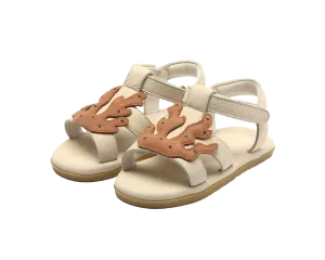 Lee Sea | Coral | Walnut Leather