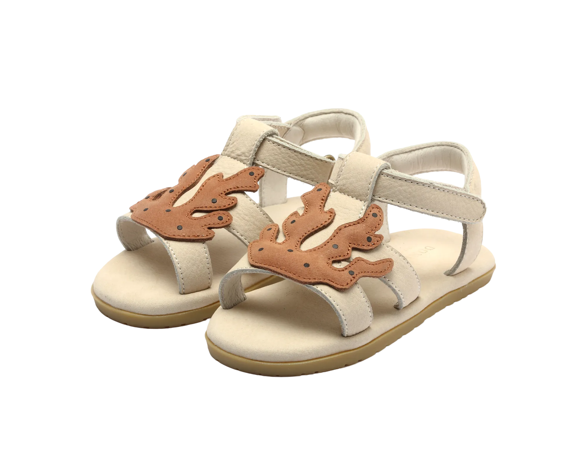 Lee Sea | Coral | Walnut Leather
