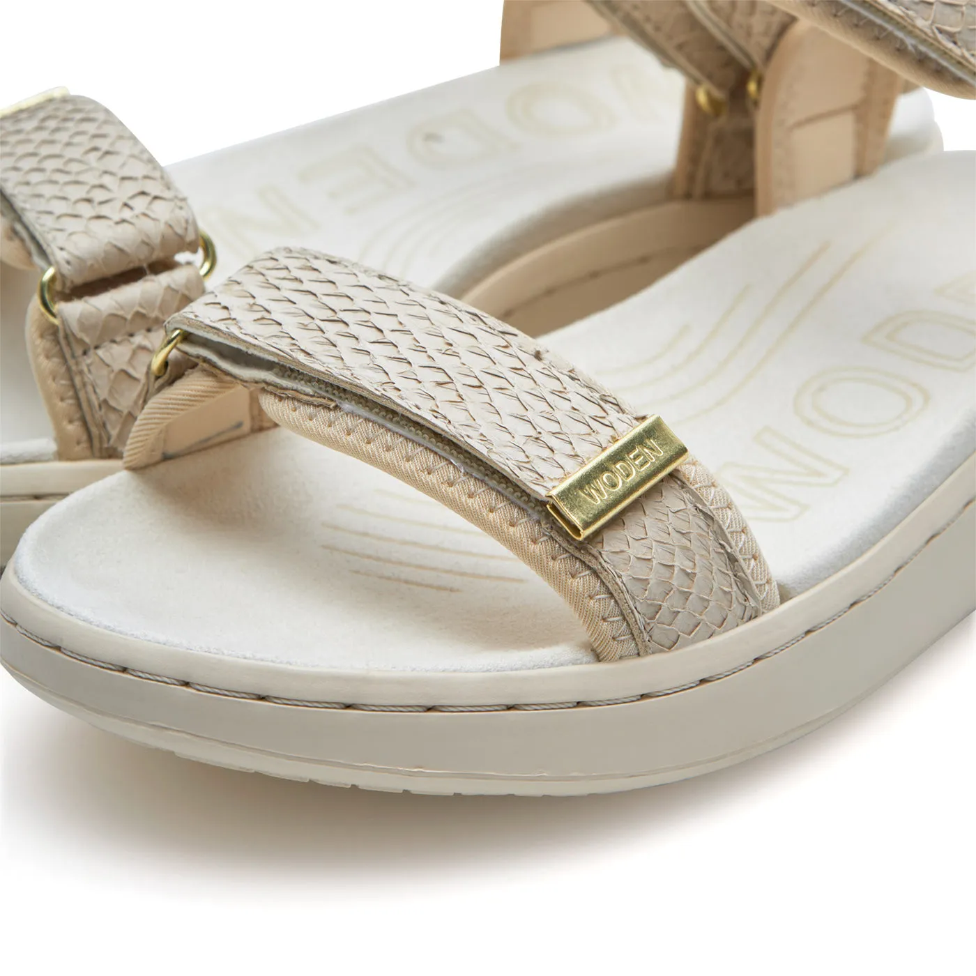 Line Fish - Ivory