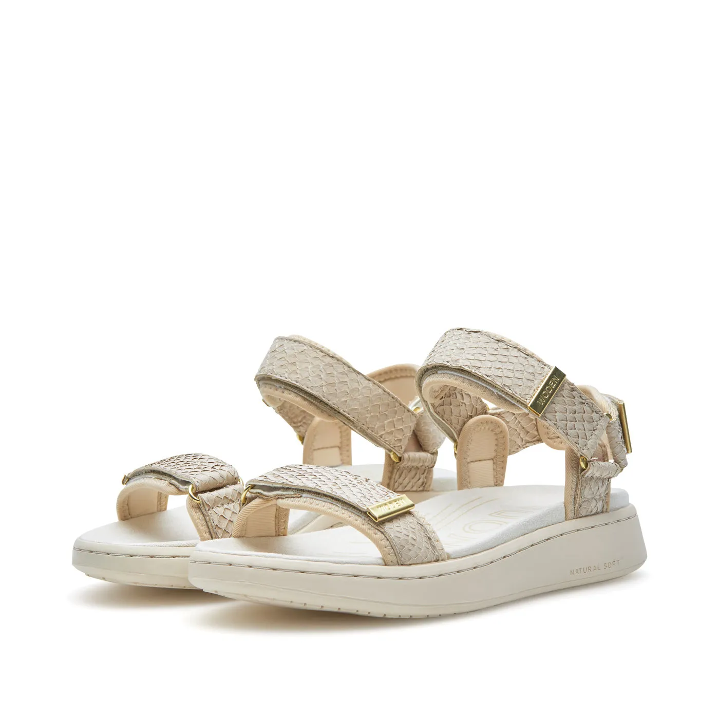 Line Fish - Ivory