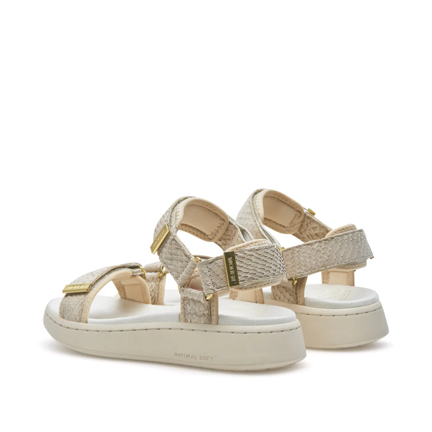 Line Fish - Ivory