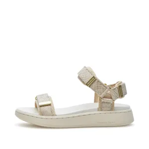 Line Fish - Ivory