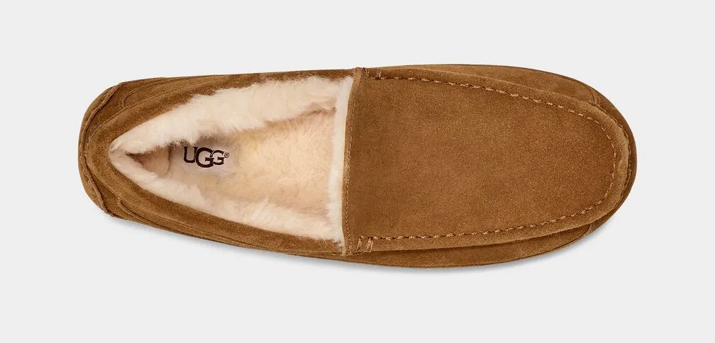 Men's Ascot Slipper