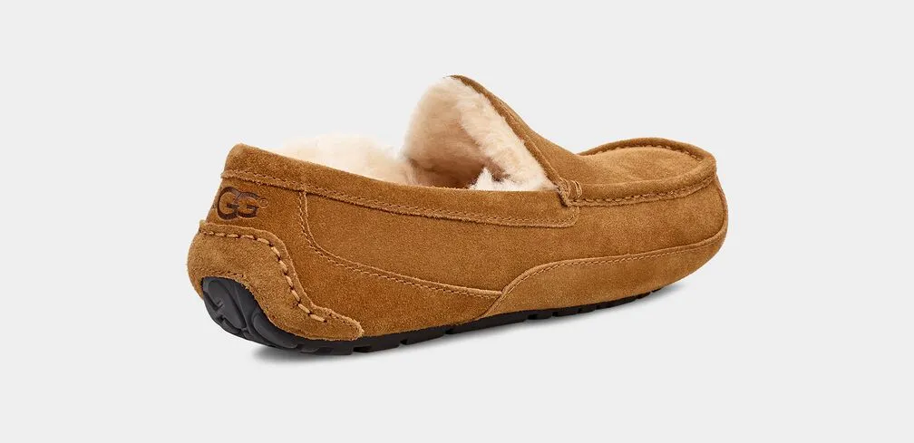 Men's Ascot Slipper