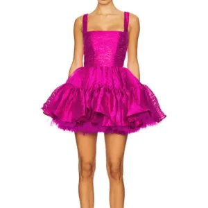 Raylee Ruffle A Line Mini Dress