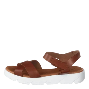 Tatu Cognac