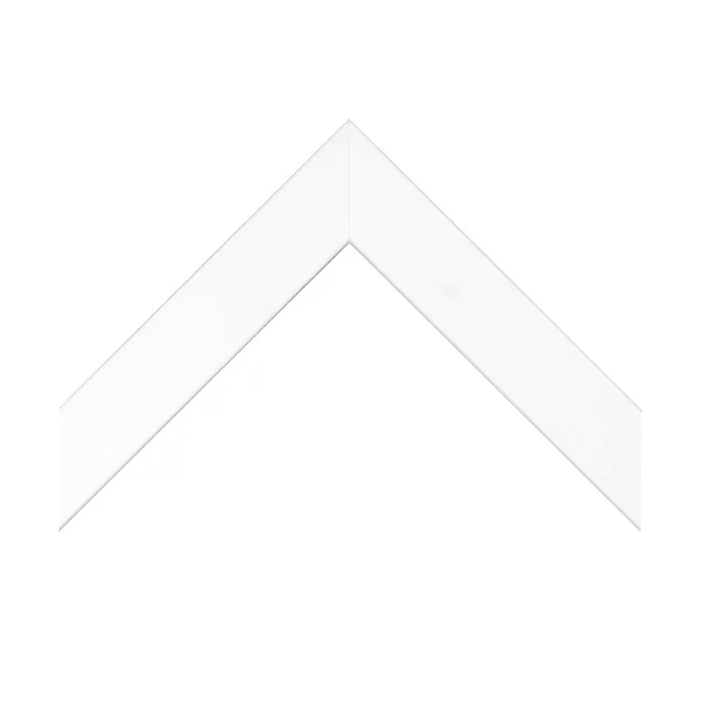 Velcro I
